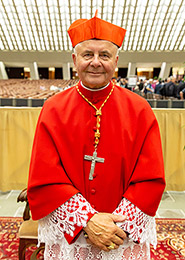  Kardinolas Sigitas TAMKEVIČIUS, 2019. Daniel Ibáñez / CNA nuotrauka 